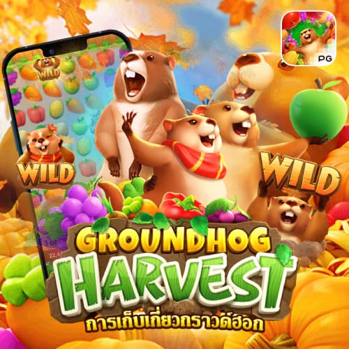 betflikdeal 74.Groundhog Harvest - 01